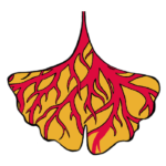 Robustesse ancrage territorial