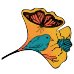 Robustesse diversité relationnelle